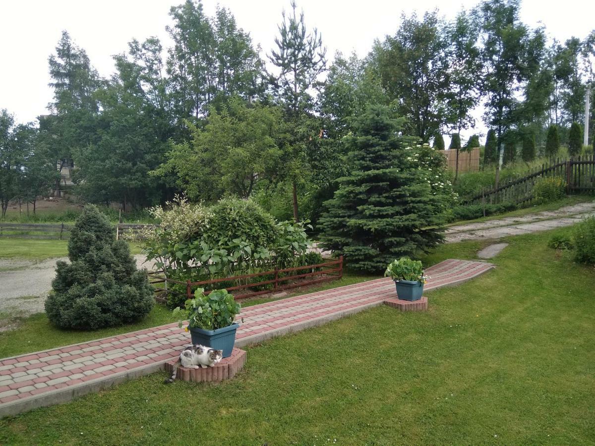 Czarna Góra Apartament Widok מראה חיצוני תמונה